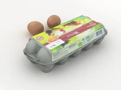 Egg Carton 002 3D model