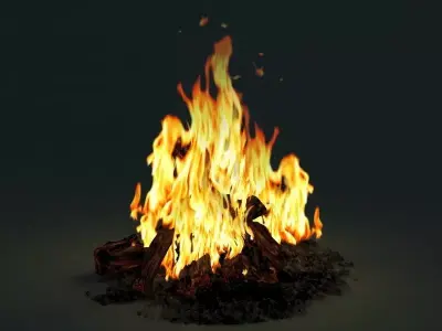 Camp Fire 3D model