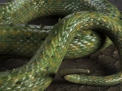  Mythical Dragons Realistic Collection 3 