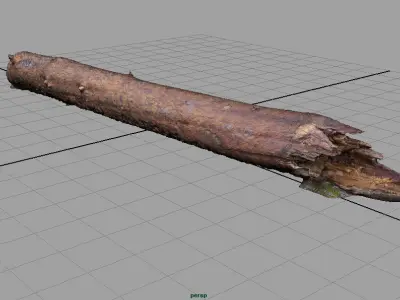 TREE TRUNK Low-poly 3D model