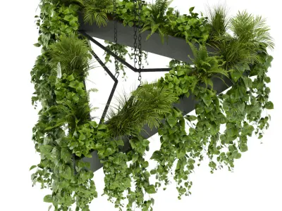 Collection plant vol 03 - pothos - hanging - ampelous 3D Model Pack