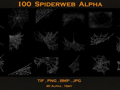 100 Spiderweb Alpha 3D model