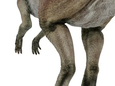  Herbivorous Dinosaurs Collection 2 