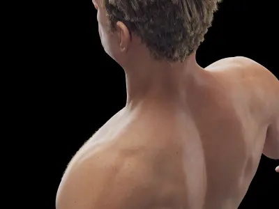  Male Body Skeleton Ligaments and Muscles Static 