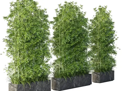  outdoor plant pot bamboo tree fern stone old vase bax 3D model