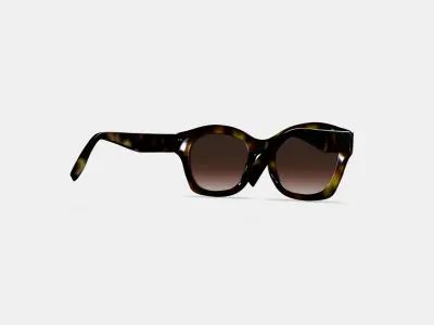 Gael Sunglasses in Cognac Tortoise 3D model