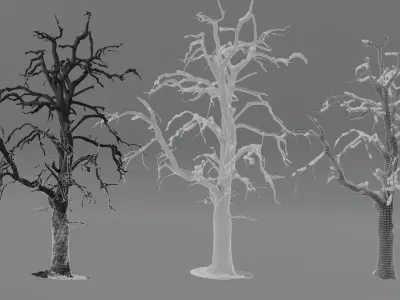 Photorealistic Apple Trees  Low-poly 3D model