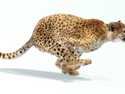  Cheetah Animated Fur 