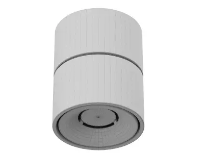 The Tommy adjustable spotlight 3D model