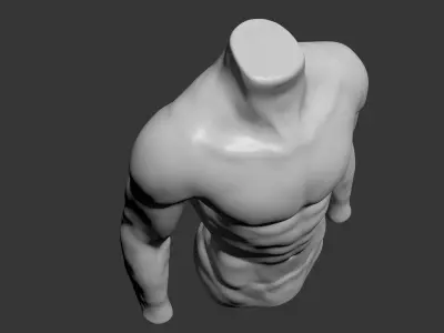Female and Male Torso Manenequins 3D model