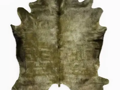 Green Cowhide Rug 3D model
