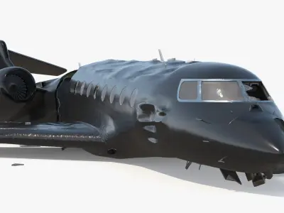  Business Jet Aircraft Wreckage Crashed Black 