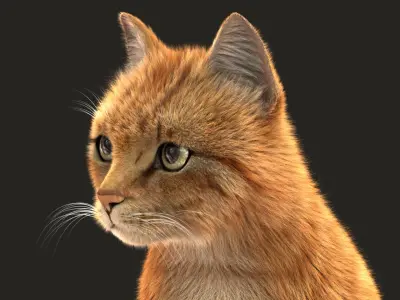  Cat (2) (Orange Tabby) (ANIMATED) (FUR) 