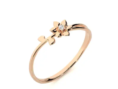 Ring - 29 3D print model