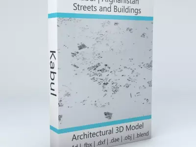 Kabul Streets and Buildings 3D model
