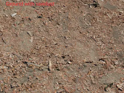 Ultra realistic Ground  3D Model Pack