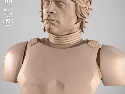 STAR WARS Luke Stromtrooper Portrait Bust 3D print model