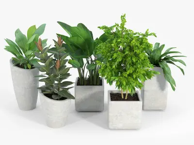 Set Crate and Barrel three 3D model