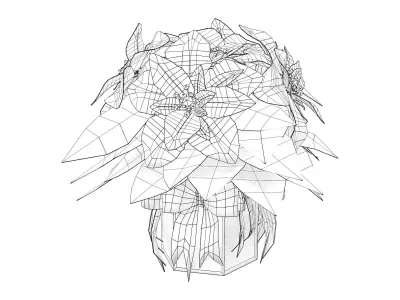 Poinsettia Gift Plant Low-poly 3D model