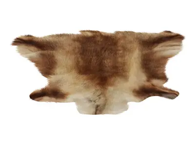 Reindeer Hide 3D model