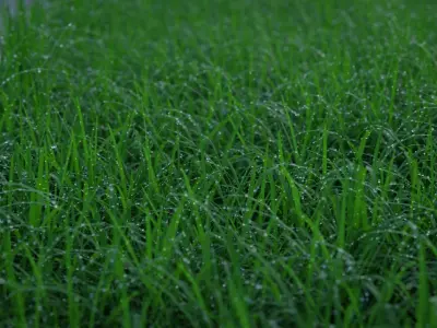 Cornfield 3d Scene 3D model