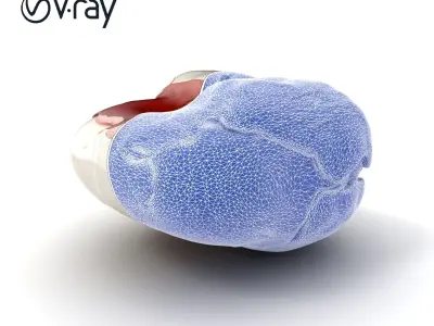 Fauvist Abstract Stone Sculpture model pack Low-poly 3D model