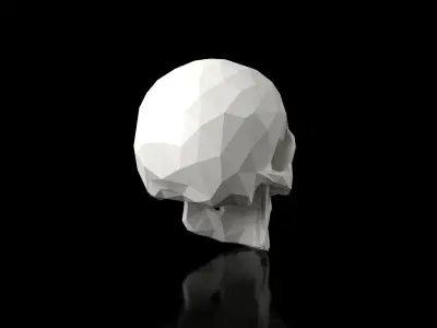 Skull Low Poligonal Low-poly 3D model