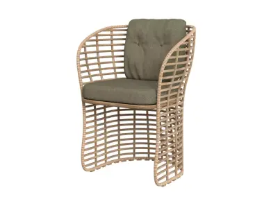 Low Detail 3D CANE LINE BASKET CHAIR 3D model