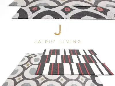 Jaipur Living Rug Set 5 3D model