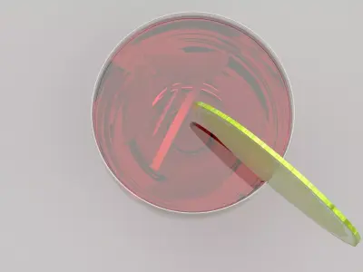 Sangria Wine 3D model