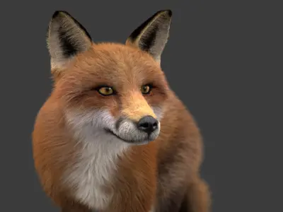  Fox (2) (Animated) (Fur) 