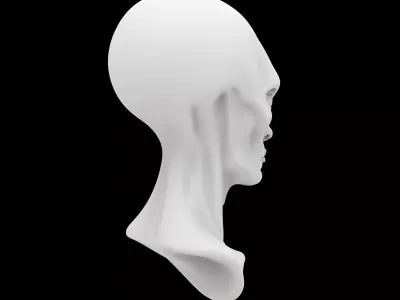 Extraterrestrial Bust 3D Print Model 3D print model
