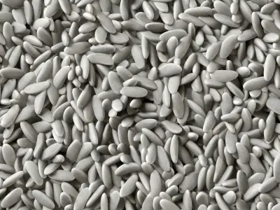 Pebble oval low n4 3D model