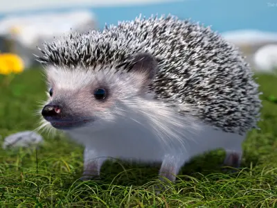 White Hedgehog Fur for Maya 
