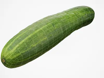 Cucumber - Photorealistic Scan Low-poly 3D model