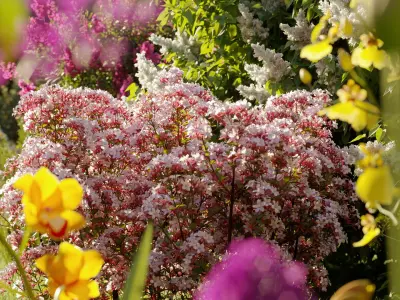  Garden shrub flowers Collection- Include GrowFX and Mesh file 