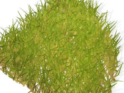 GRASS  PLANT NATURE FLOWER Free 3D print model