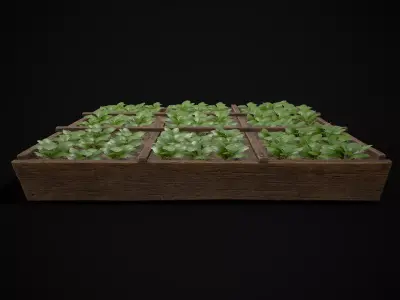 Square Planting Plot with Lettuce  Low-poly 3D model