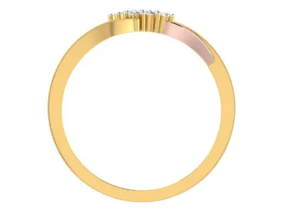 Ring - 2485 3D print model
