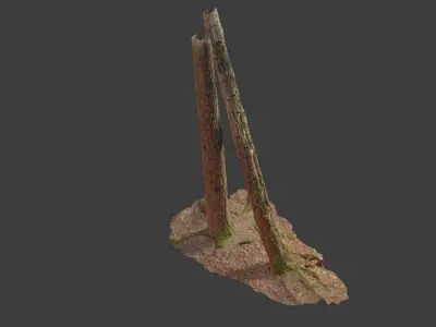 Tree Trunk Stump Scanned Processed Free low-poly 3D model