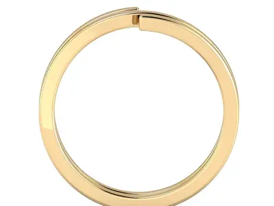 SWARING08 gold ring with two lines 3D print model