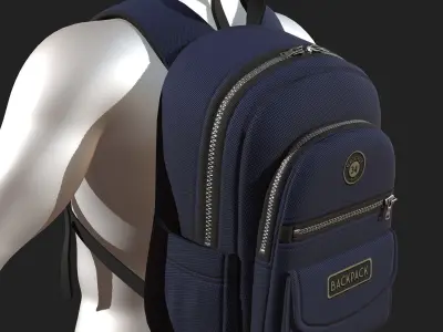 Backpack Camping color bag baggage pockets  Low-poly 3D model