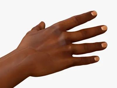  Afro American Man and Baby Hands Rigged for Maya Collection 