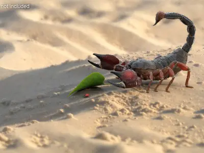  Hunting Scorpion Fur Animated Rigged for Cinema 4D 