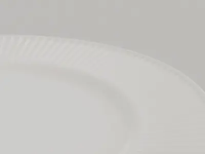 Ridges Lunch Plate Low-poly 3D model