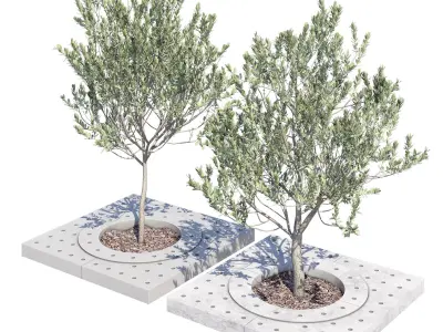 Surrounds two trees in concrete planter 3D model