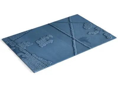 Robin Rug 3D model