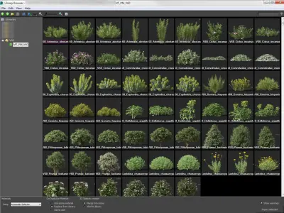  Mediterranean garden plants - Include GrowFX and Mesh file 