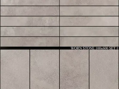 Ariana Ceramica Worn Stone 100x600 Set 1 3D model