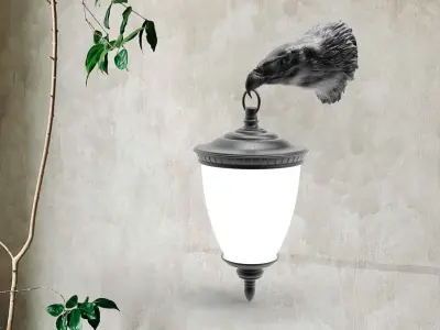 Eagle Head Wall LampEagle Head Wall Lamp 3D print model